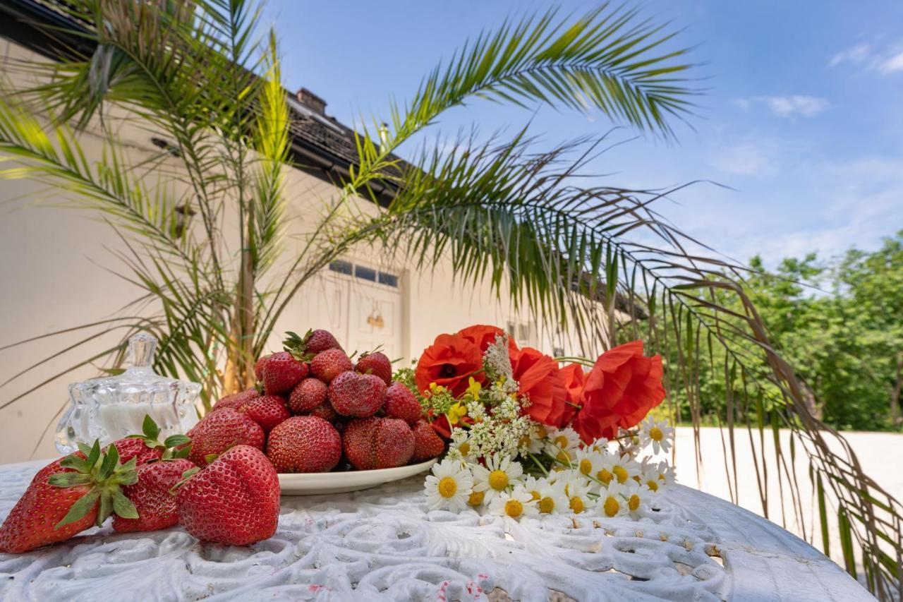 Przystanek Szlakowka Hotel Szczebrzeszyn Ngoại thất bức ảnh